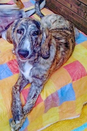 Noemi und Perla warten