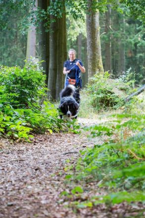Australian Shepherd (Deckrüde) Dust in the Wind vom Obersee "Dusty"