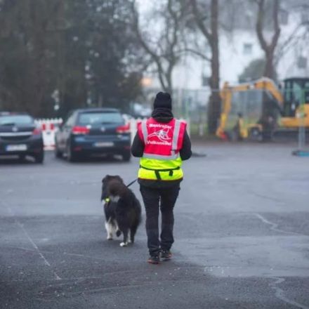 Australian Shepherd (Deckrüde) Dust in the Wind vom Obersee "Dusty"