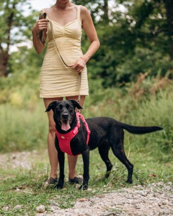 Labra sehnt sich nach menschlicher Zuneigung