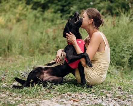 Labra sehnt sich nach menschlicher Zuneigung