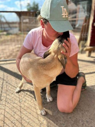 Jacky sucht ihr Für-immer-Zuhause