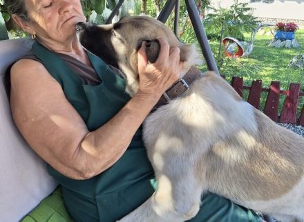 Wirbelwind Monty sucht sein Gegenstück