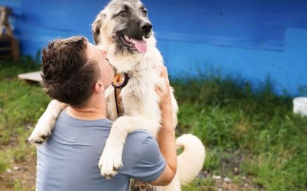 Herzensbrecher Tommy sucht seine Menschen