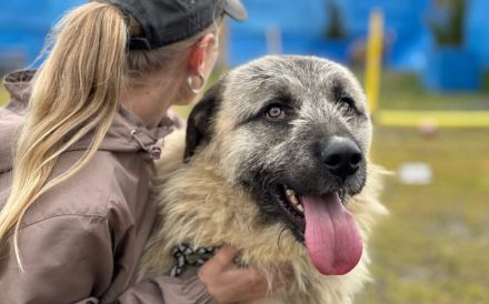 Herzensbrecher Tommy sucht seine Menschen