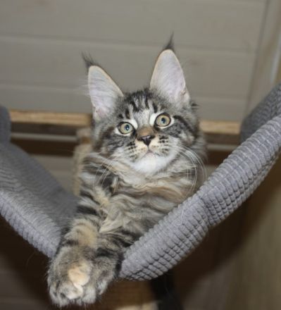 Traumschloss gesucht .....