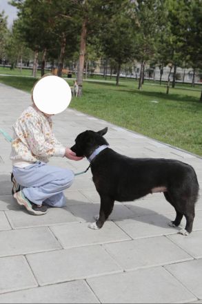 Glascha, eine kleine Fellnase auf der Suche nach Vertrauen
