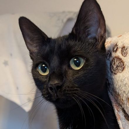 2 EHK SCHNELLST MÖGLICH ABZUGEBEN