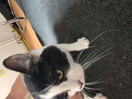 2 EHK SCHNELLST MÖGLICH ABZUGEBEN