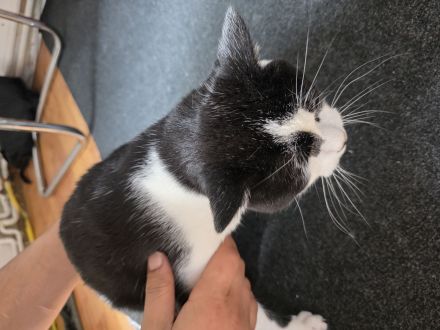 2 EHK SCHNELLST MÖGLICH ABZUGEBEN