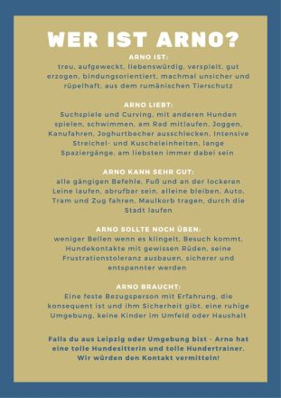 Arno sucht neues Zuhause ohne Kinder