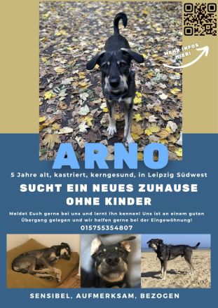 Arno sucht neues Zuhause ohne Kinder