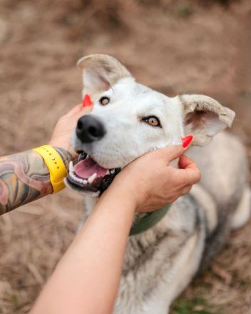 Freya wünscht sich eine Familie
