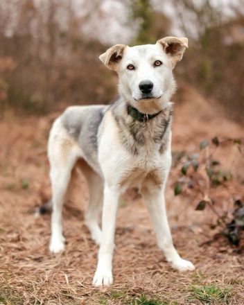 Freya wünscht sich eine Familie