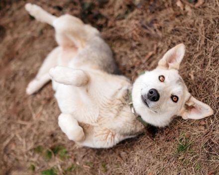 Freya wünscht sich eine Familie