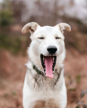 Freya wünscht sich eine Familie