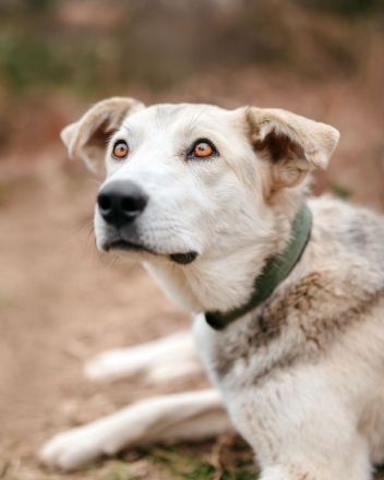 Freya wünscht sich eine Familie