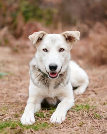 Freya wünscht sich eine Familie