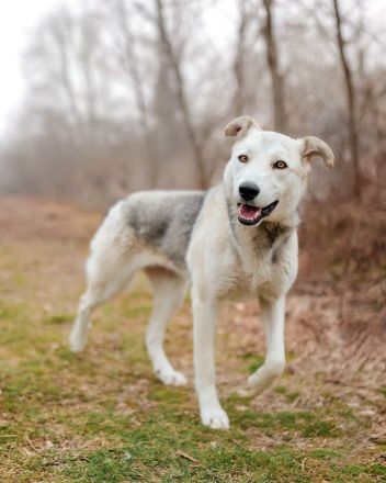 Freya wünscht sich eine Familie