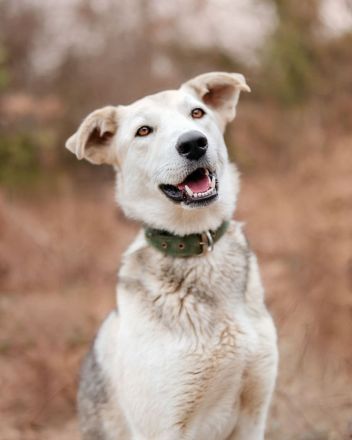 Freya wünscht sich eine Familie
