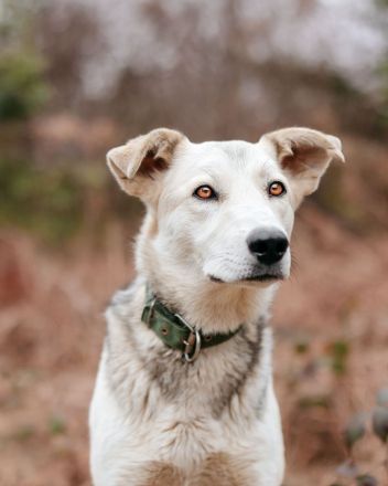 Freya wünscht sich eine Familie