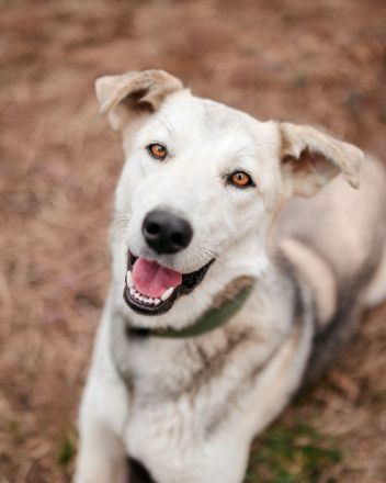 Freya wünscht sich eine Familie
