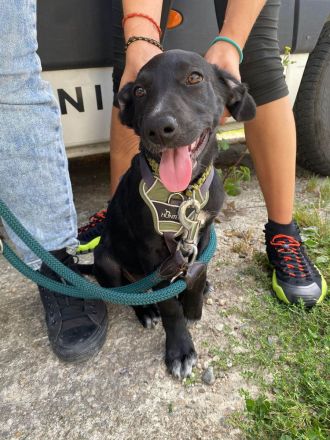 Süßer Paddy sucht seine Familie