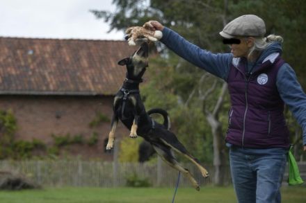 Pepper, Lebensfreude pur, aufgeweckt und anschmiegsam