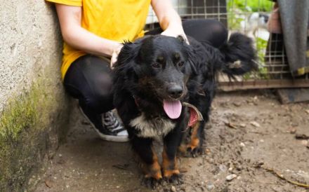 Toller Kerl Jamie möchte bei dir einziehen