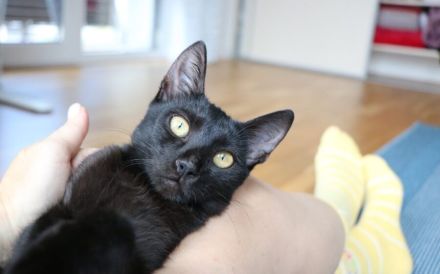 Nashi ist berei für ein neues Leben