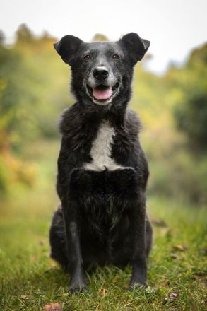Unkomplizierte Agata möchte ihr Herz verschenken