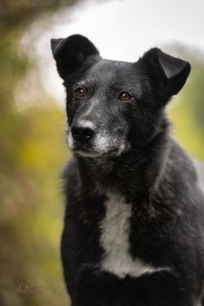 Unkomplizierte Agata möchte ihr Herz verschenken