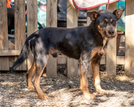 Franky, hat die Hoffnung noch nicht aufgegeben