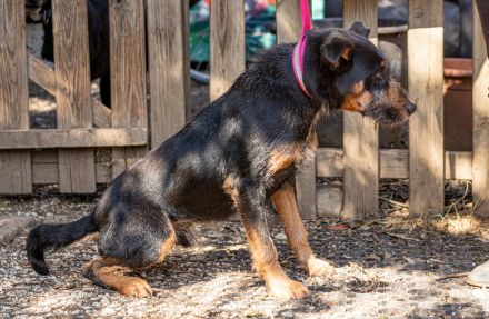 Franky, hat die Hoffnung noch nicht aufgegeben
