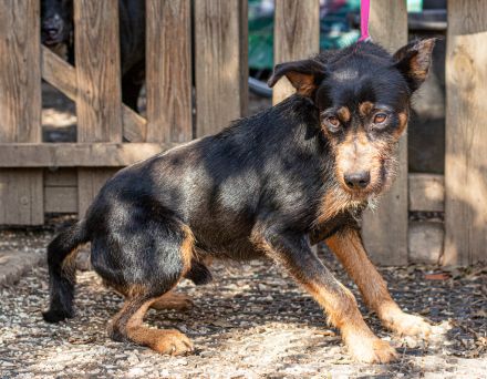 Franky, hat die Hoffnung noch nicht aufgegeben