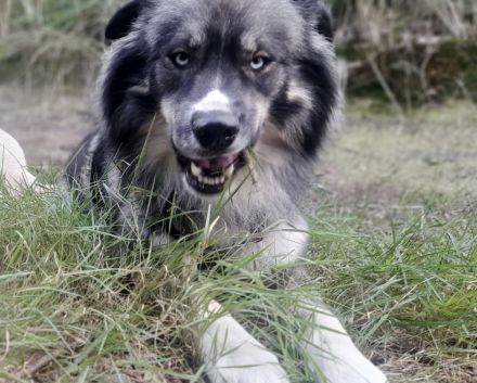 Kuschelbärchen sucht seine Menschen🙏🏻❤️
