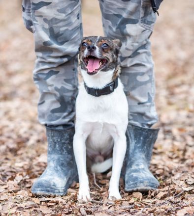 Gesseliger Peter sucht dich ...