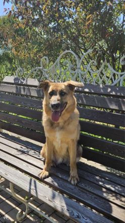 Zauberhafte Nadia sucht ihre menschen