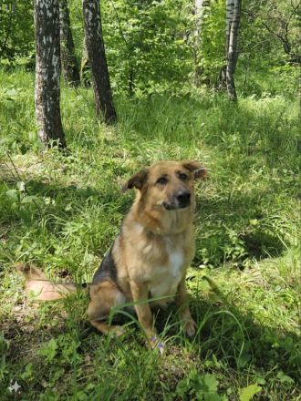 Zauberhafte Nadia sucht ihre menschen