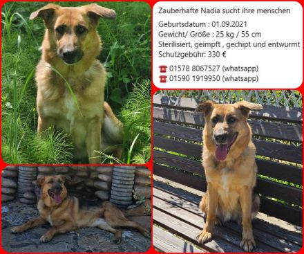 Zauberhafte Nadia sucht ihre menschen