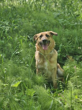 Zauberhafte Nadia sucht ihre menschen