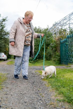 Kleiner weiße Kroki sucht liebevolle menschen