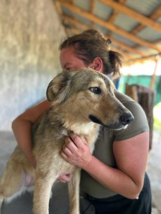 Petra sucht ihr Für-immer-Zuhause