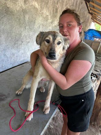 Petra sucht ihr Für-immer-Zuhause