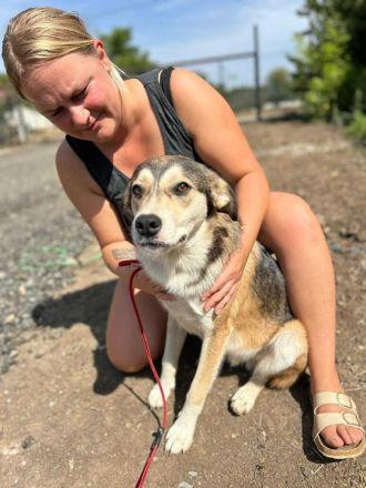 Hannibal sucht sein Für-immer-Zuhause