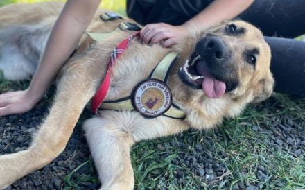 Zauberhafte Alexa sucht ihre Menschen