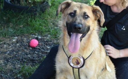 Zauberhafte Alexa sucht ihre Menschen