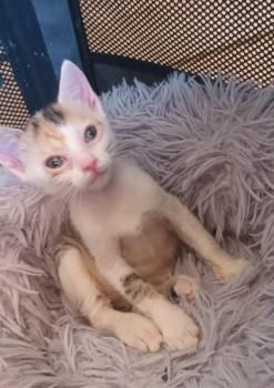 Agatha und Esmeralda