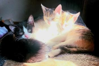 Agatha und Esmeralda