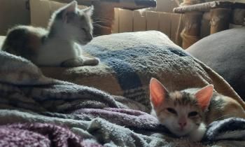 Agatha und Esmeralda